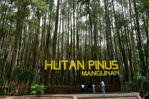Hutan Mangunan